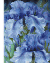 Алмазна мозаїка SANTI 