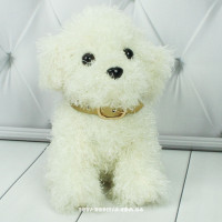 Песик Мальтипу