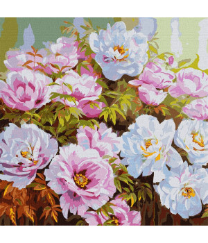 Розпис по номерах. КНО 3193 Розмаїття півоній