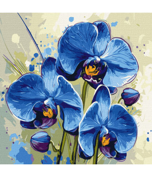 Набір для розпису по номерах "Ніжна орхідея"