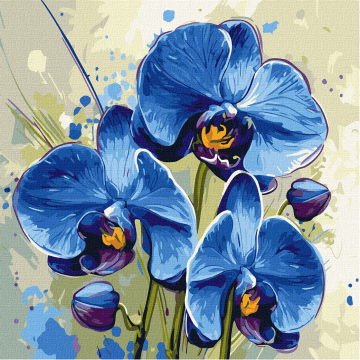 Набір для розпису по номерах "Ніжна орхідея"