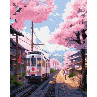 Розпис по номерах. КНО 3646 Місто вранці