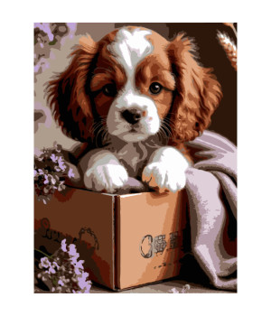 Картина за номерами Strateg Цуценя в коробці Картина за номерами Strateg Цуценя в коробці