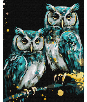 Розпис по номерах. КНО 6514 Мудрі совушки з фарбами металiк extra