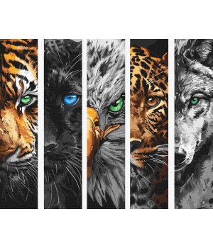 Розпис по номерах. КНО 6622 Хижаки Розпис по номерах. КНО 6622 Хижаки