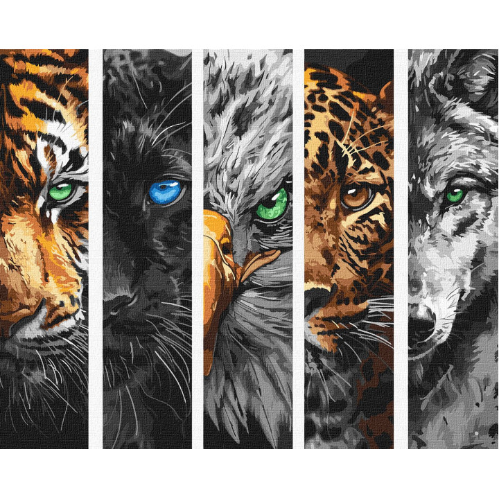 Розпис по номерах. КНО 6622 Хижаки