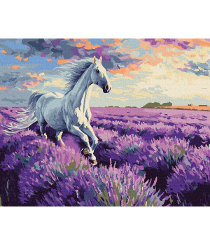 Набір для розпису по номерах "У лавандових полях" Набір для розпису по номерах "У лавандових полях"