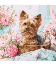 Набір для розпису по номерах "Йорк в кошику" 