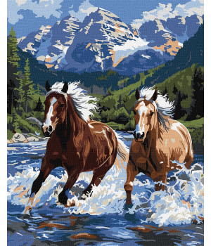 Набір для розпису по номерах "Сила у русі"