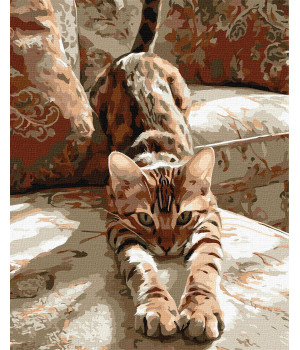 Набір для розпису по номерах "Ранкова розминка"