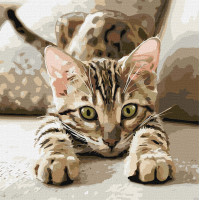 Набір для розпису по номерах "Грайливе кошеня"