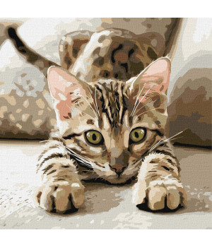 Набір для розпису по номерах "Грайливе кошеня"