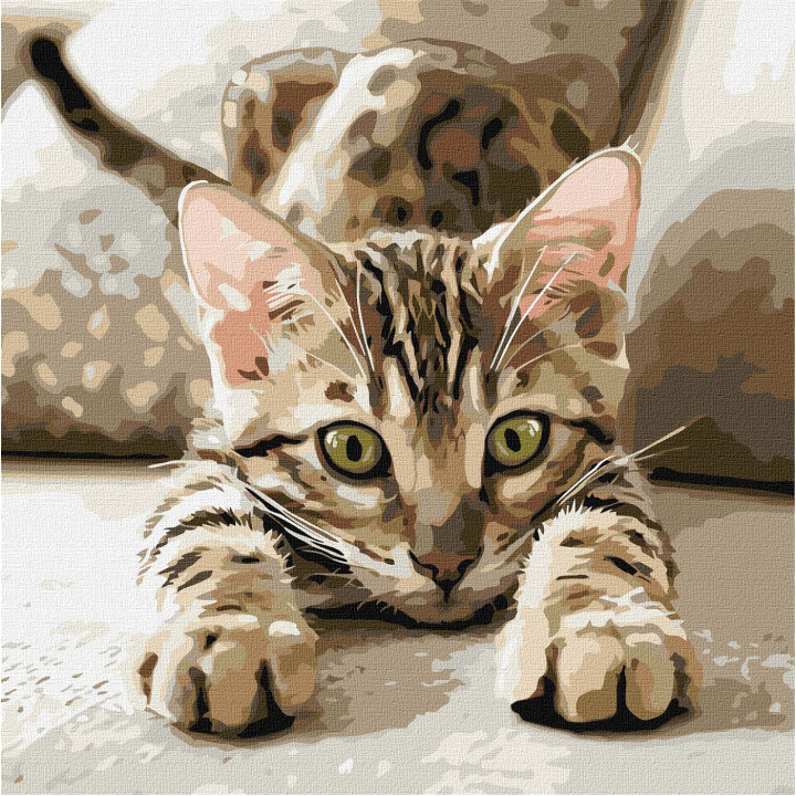 Набір для розпису по номерах "Грайливе кошеня"