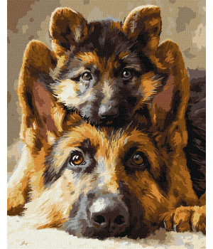 Набір для розпису по номерах "Разом завжди"