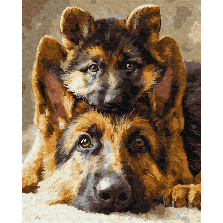 Набір для розпису по номерах "Разом завжди"