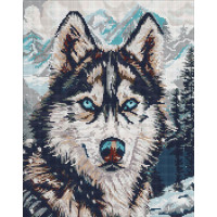 Набір з алмазною мозаїкою "Очі півночі" 