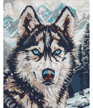 Набір з алмазною мозаїкою "Очі півночі" 