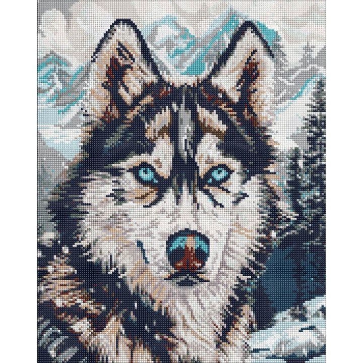 Набір з алмазною мозаїкою "Очі півночі" 