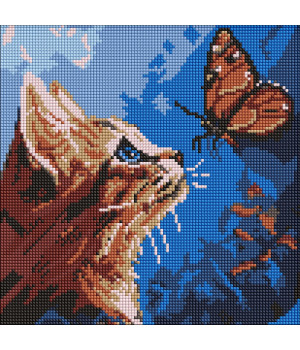 Набір з алмазною мозаїкою "Котик та метелик"