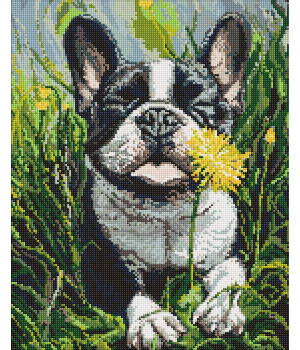 Набір з алмазною мозаїкою "Пес і кульбаба" 