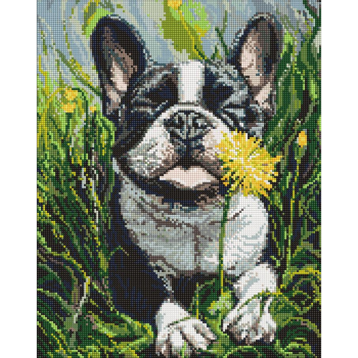 Набір з алмазною мозаїкою "Пес і кульбаба" 