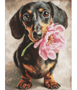 Набір з алмазною мозаїкою "Песик і сюрприз"