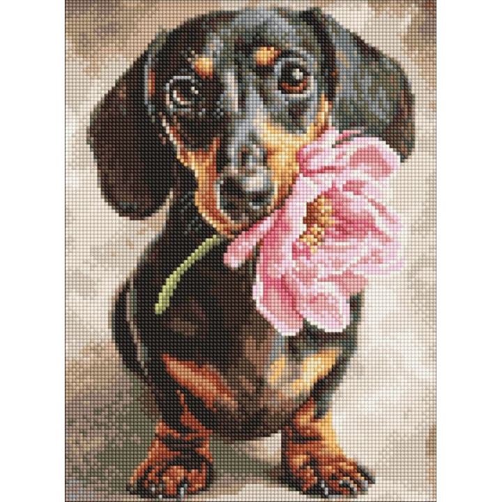 Набір з алмазною мозаїкою "Песик і сюрприз"