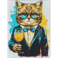Набір з алмазною мозаїкою  "Містер Кіт" 