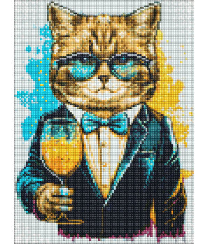 Набір з алмазною мозаїкою  "Містер Кіт" 
