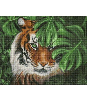 Набір з алмазною мозаїкою "Амурський тигр"