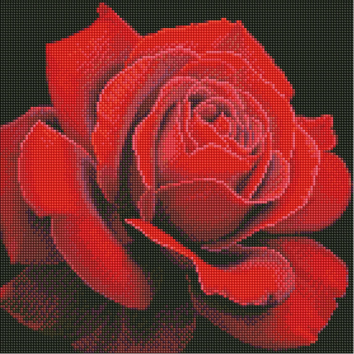 Набір з алмазною мозаїкою AMO 7634 "Червона троянда"