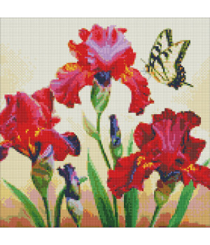 Набір з алмазною мозаїкою AMO 7650 "Вишукані іриси" 