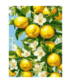 Картина за номерами Strateg Лимонне дерево