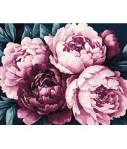 Набір для розпису по номерах "Ніжні пелюстки"