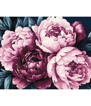 Набір для розпису по номерах "Ніжні пелюстки" Набір для розпису по номерах "Ніжні пелюстки"