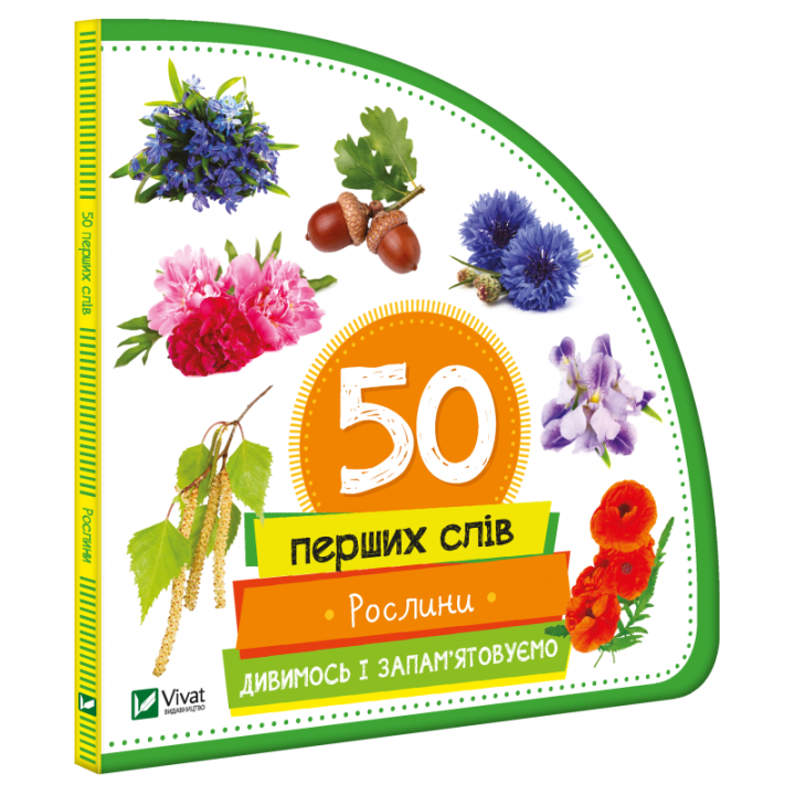 Рослини. Дивимось і запам'ятовуємо