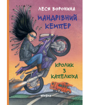 Електронна книга Мандрівний кемпер для безпритульних пасажирів