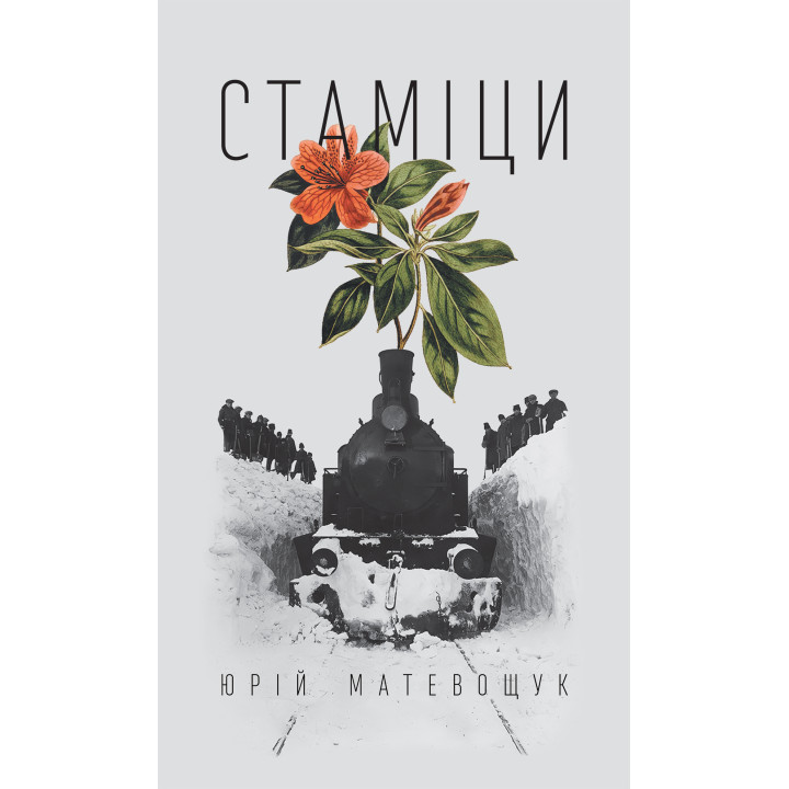 Електронна книга Стаміци