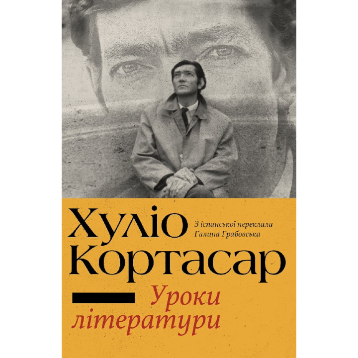 Електронна книга Уроки літератури