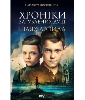 Електронна книга Хроніки загублених душ