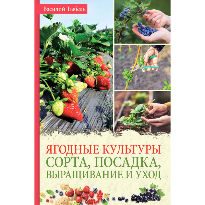 Електронна книга Ягодные культуры