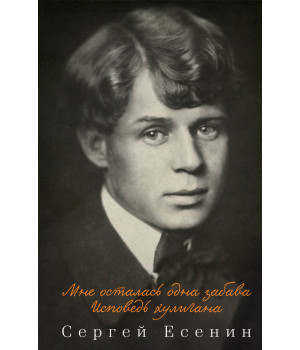 Електронна книга Мне осталась одна забава