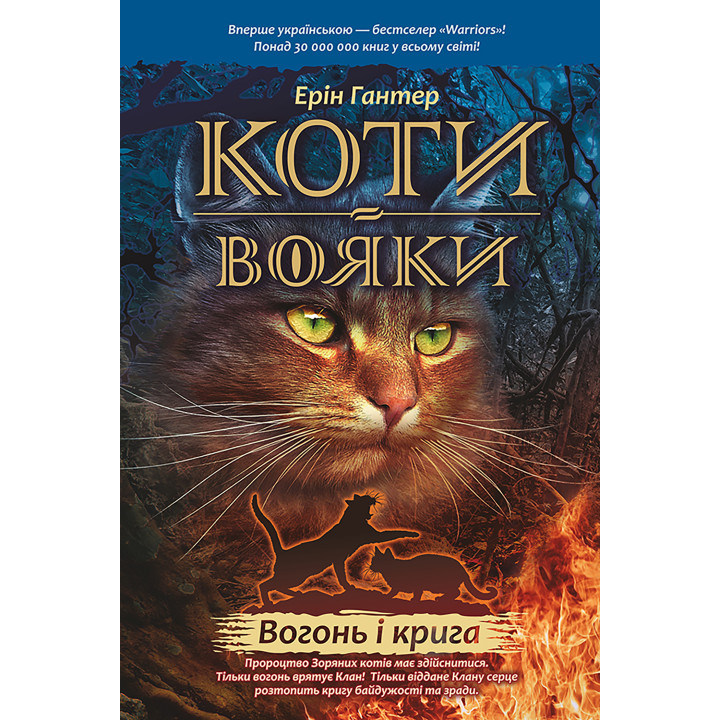 Електронна книга Вогонь і крига