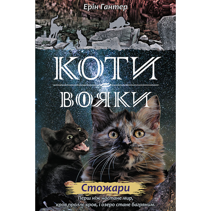 Електронна книга Стожари