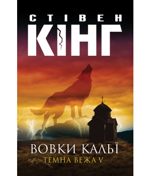 Електронна книга Вовки Кальї. Темна вежа V
