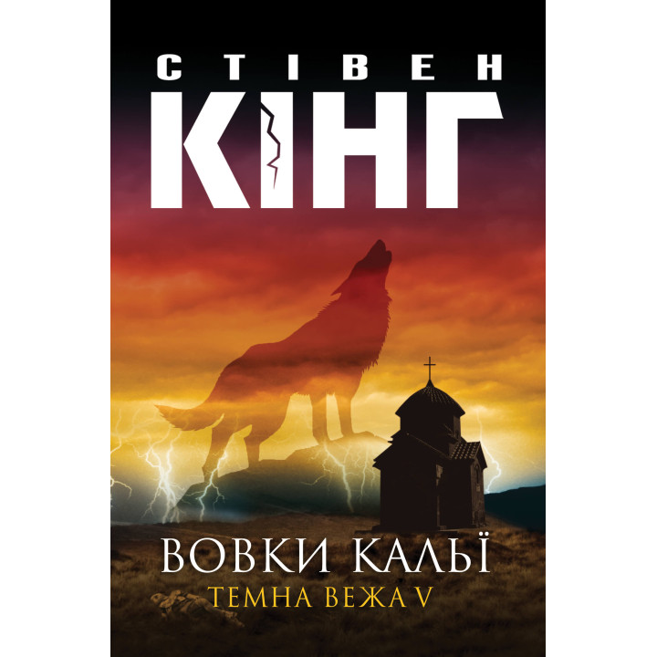 Електронна книга Вовки Кальї. Темна вежа V