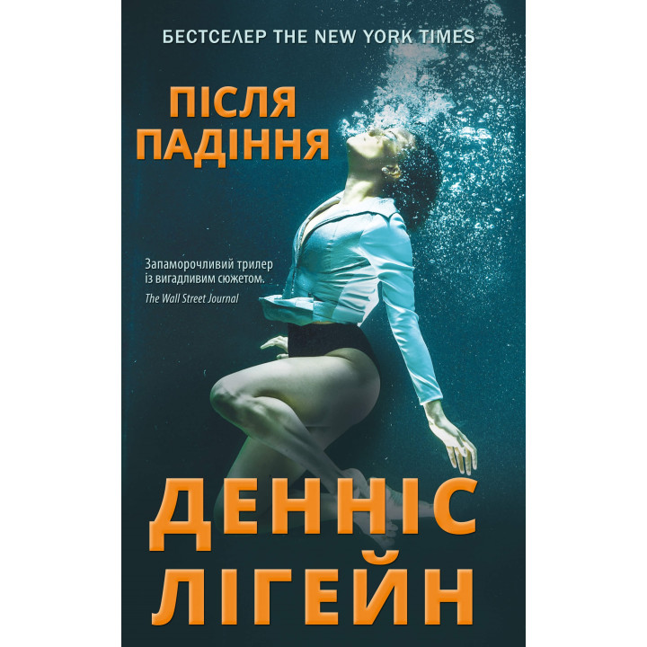Електронна книга Після падіння