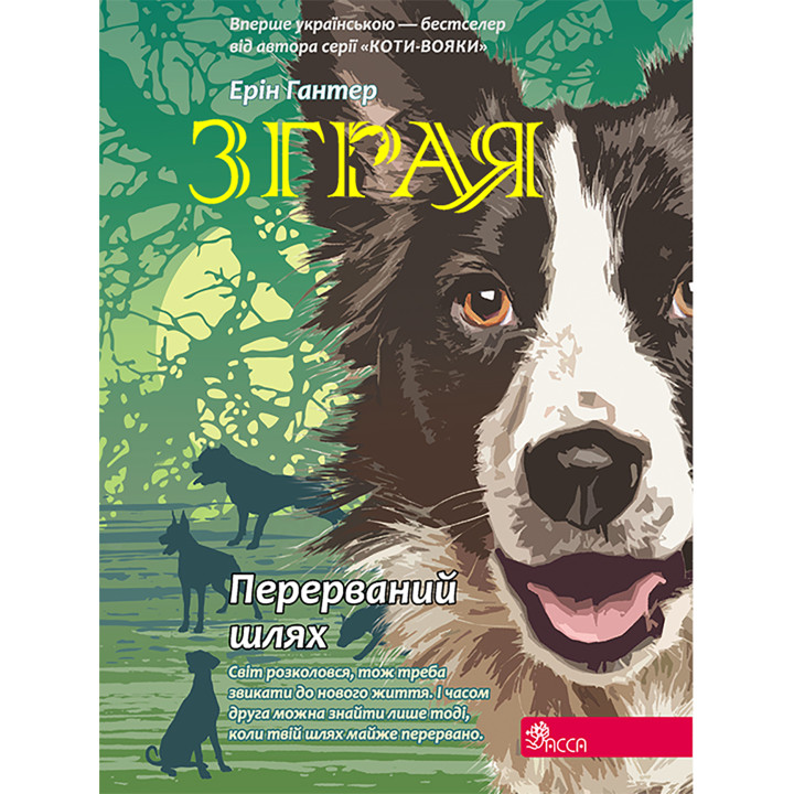 Електронна книга Перерваний шлях