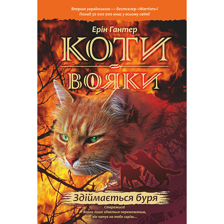 Електронна книга Здіймається буря
