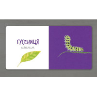 Комахи (УКР)
